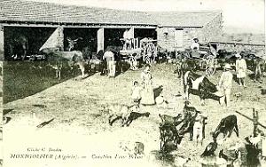 348- Montgolfier - Creation d'une ferme